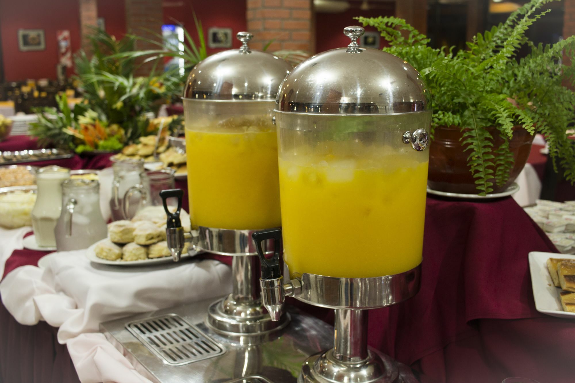 Hotel El Libertador Puerto Iguazu Ngoại thất bức ảnh